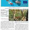 [illustration du lien de l'article n° 550]